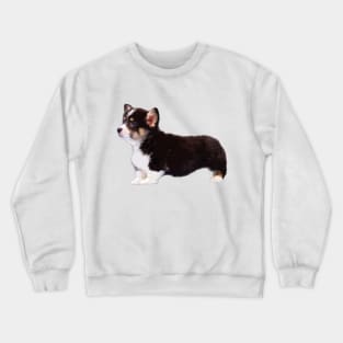 Corgi Tri Color Puppy Dog Crewneck Sweatshirt